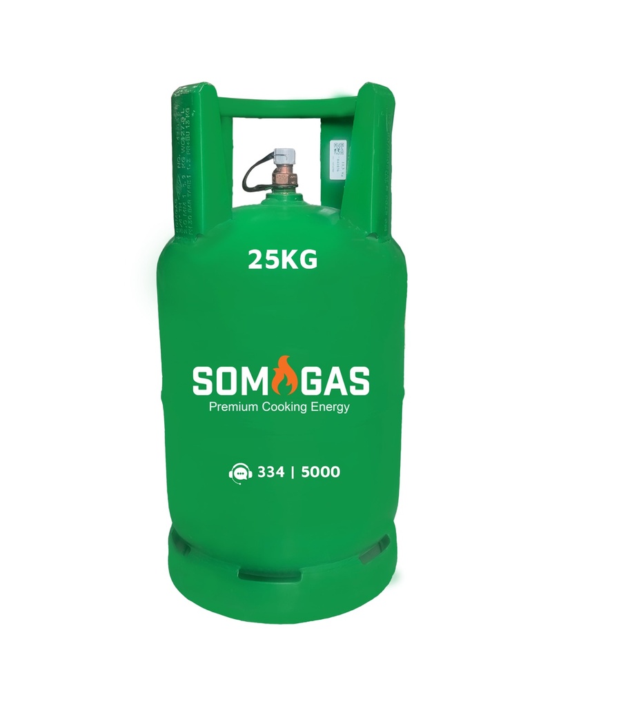 25kg Bir